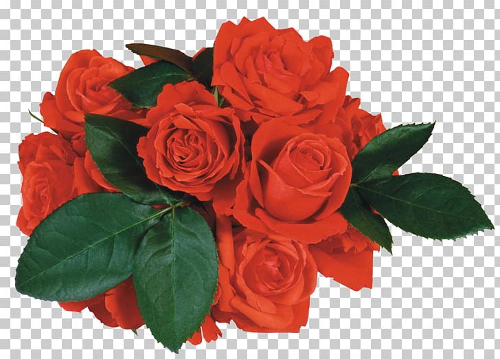 Rose PNG, Clipart, Rose Free PNG Download