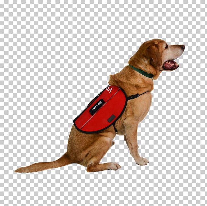 Service Dog Dog Harness Leash Emotional Support Animal PNG, Clipart, Animals, Assistance Dog, Canidae, Companion Dog, Dog Free PNG Download