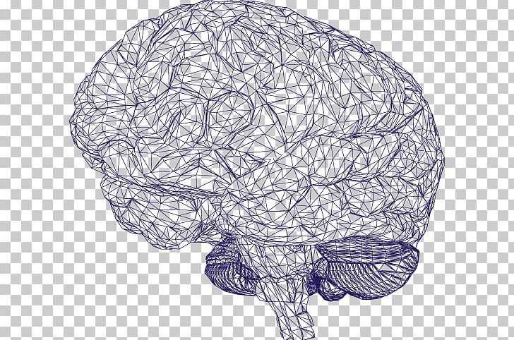 Google Brain Artificial Intelligence Computer Watson PNG, Clipart, Artificial Neural Network, Bone, Brain, Deep Learning, Drawing Free PNG Download