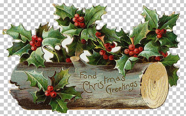 Santa Claus Yule Log Tradition Paganism PNG, Clipart, Aquifoliaceae, Aquifoliales, Christmas, Christmas Decoration, Christmas Ornament Free PNG Download
