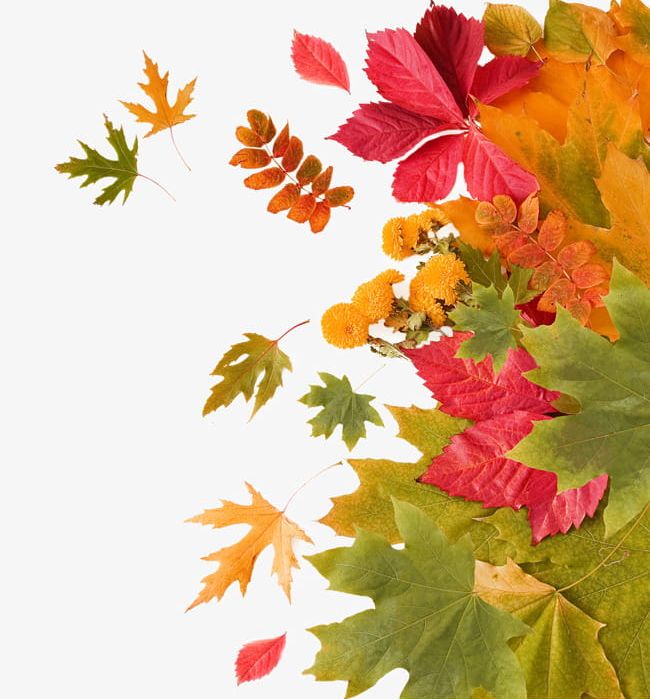 Autumn Leaves Decoration PNG, Clipart, Autumn, Autumn Clipart, Card, Creative, Creative Autumn Free PNG Download