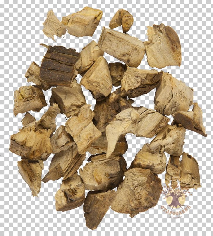 Common Sunflower Root Sunflower Oil Medicinal Plants PNG, Clipart, Common Nettle, Extract, Food Drinks, Herb, Herbaceous Plant Free PNG Download