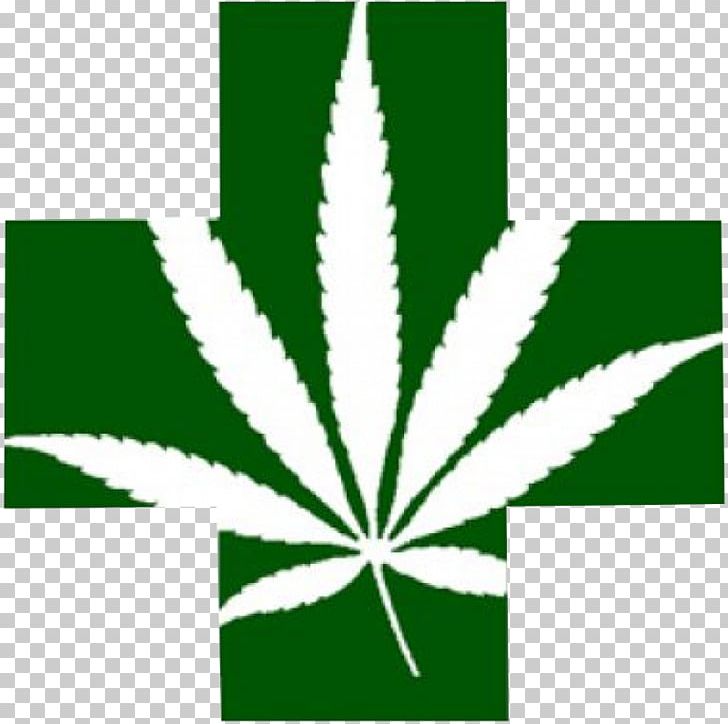 Encanto Green Cross Dispensary Medical Cannabis Cannabis Shop PNG, Clipart, Aids, Arizona, California, Cannabis, Cannabis Sativa Free PNG Download