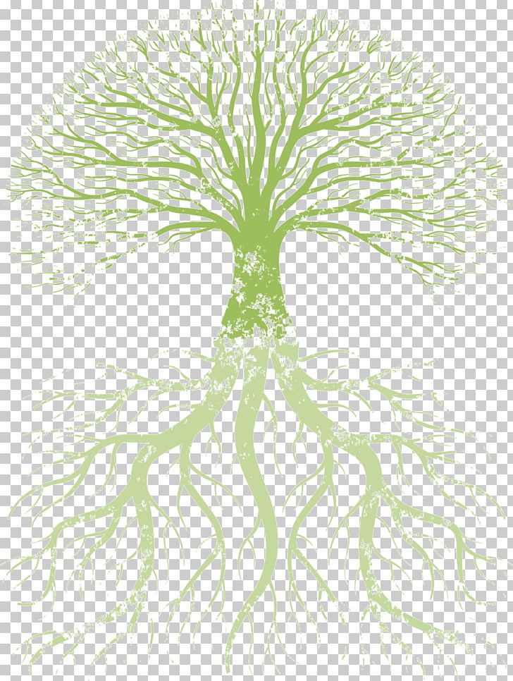 Family Tree Root Tree Of Life PNG, Clipart, Black And White, Branch, Drawing, Family, Family Tree Free PNG Download