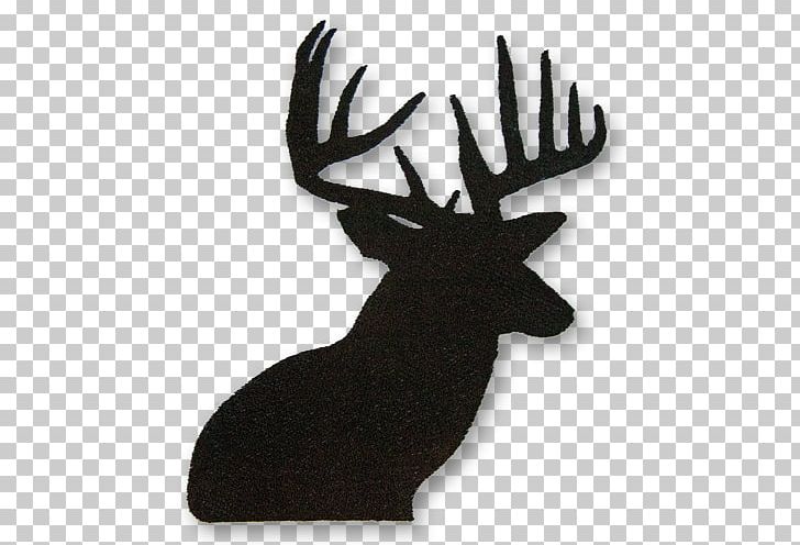 White-tailed Deer Reindeer Moose Antler PNG, Clipart, Animals, Antler, Blacktailed Deer, Deer, Deer Head Free PNG Download