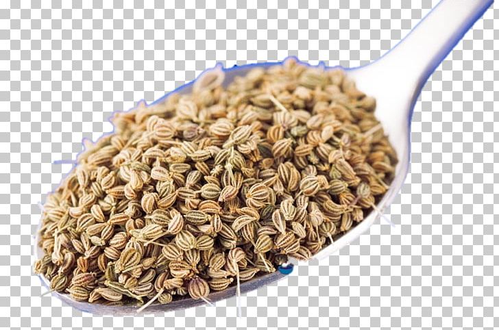 Ajwain Oat Fennel Seed Cereal Germ PNG, Clipart, Aegopodium Podagraria, Ajwain, Cereal, Cereal Germ, Commodity Free PNG Download