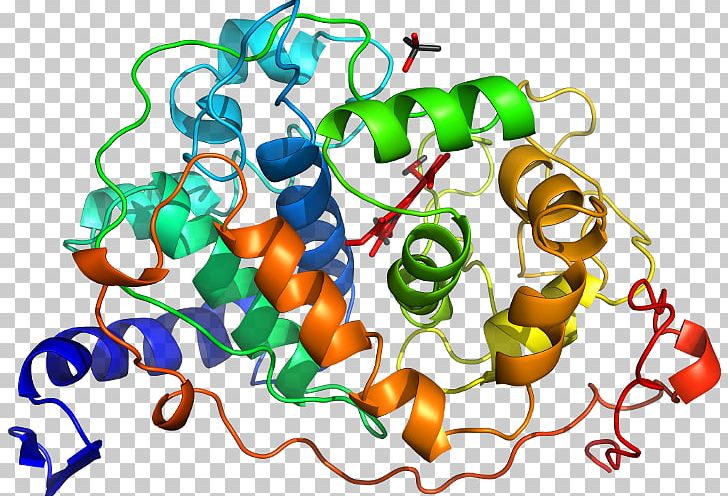 Protein Superfamily Gene Duplication Organism PNG, Clipart, Artwork, Domain Name, Food, Gene Duplication, Line Free PNG Download
