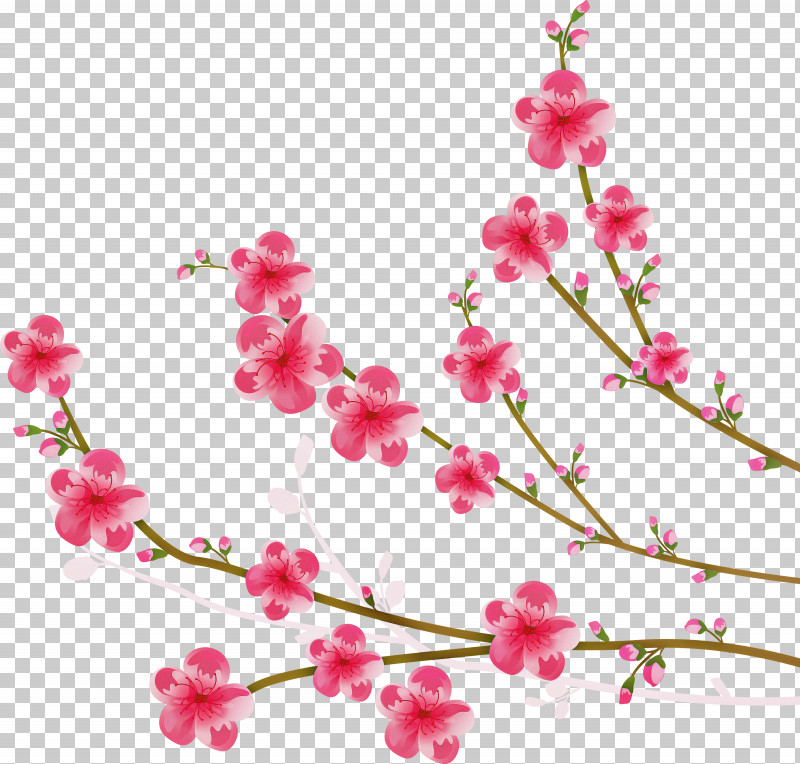 Flowers Floral PNG, Clipart, Blossom, Branch, Cherry Blossom, Cut Flowers, Floral Free PNG Download