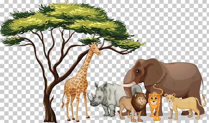 African Trees PNG, Clipart, African Trees, Baobab, Cattle Like Mammal, Deer, Download Free PNG Download