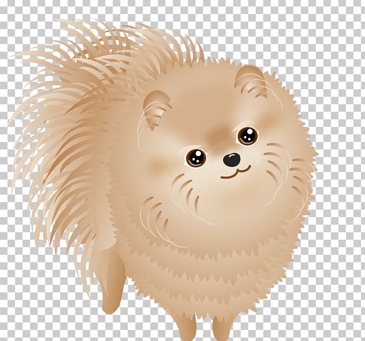 Pomeranian Dog Breed Puppy Non-sporting Group PNG, Clipart, Animal, Animals, Breed, Breed Group Dog, Carnivoran Free PNG Download