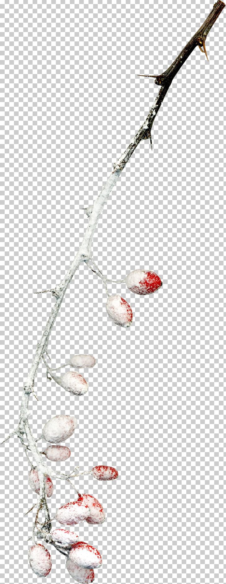 Twig Branch Snow Tree PNG, Clipart, Adobe Illustrator, Branch, Branches, Cover Design, Covered Free PNG Download