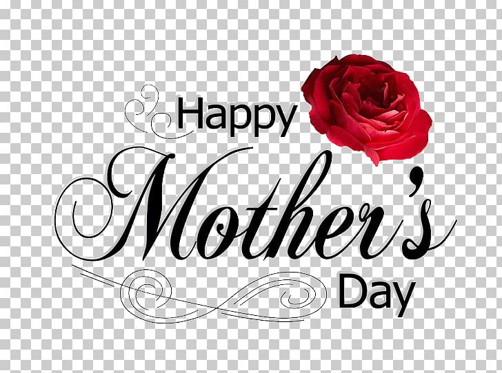 United States Mexico Mothers Day Child PNG, Clipart, Cinco De Mayo, Family, Father, Flower, Greeting Card Free PNG Download