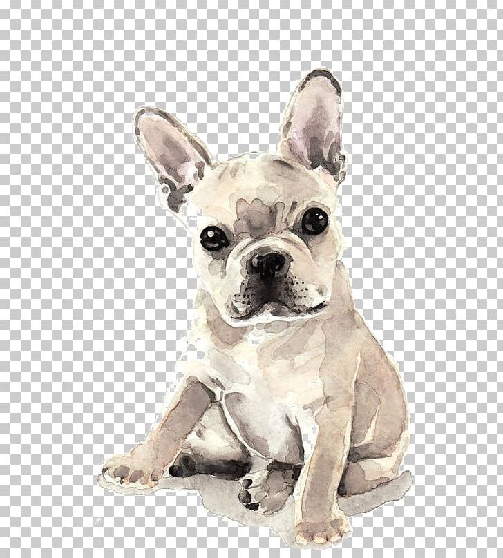 French Bulldog Puppy Watercolor Painting Fawn PNG, Clipart, Animal, Animals, Art, Bos, Bulldog Free PNG Download