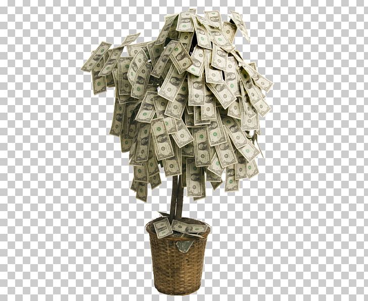 wedding money tree images