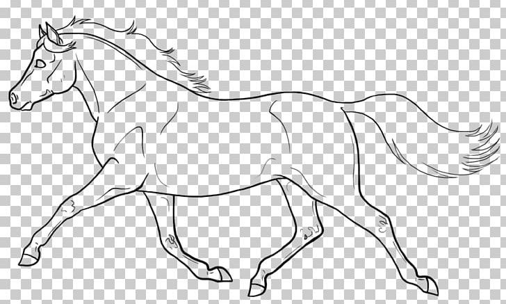 Welsh Pony And Cob Mule Line Art Welsh Mountain Pony PNG, Clipart, Animal, Arabian Horse, Artwork, Black And White, Bridle Free PNG Download