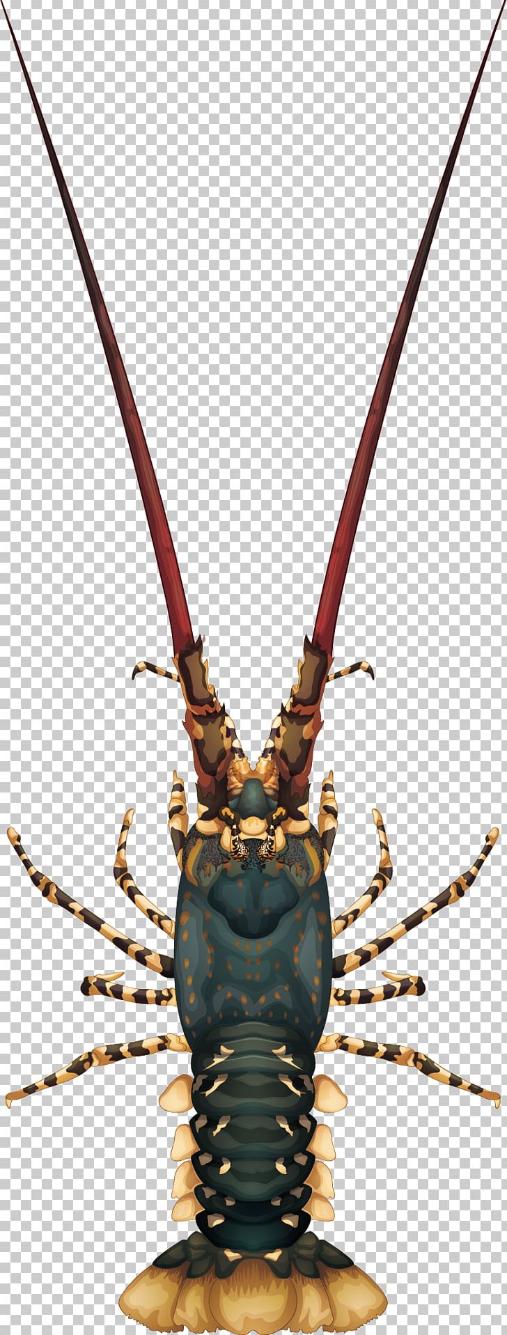 Lobster Panulirus Argus Panulirus Cygnus Illustration PNG, Clipart, Animals, Color Chart, Crayfish, Decapoda, Hand Painted Free PNG Download