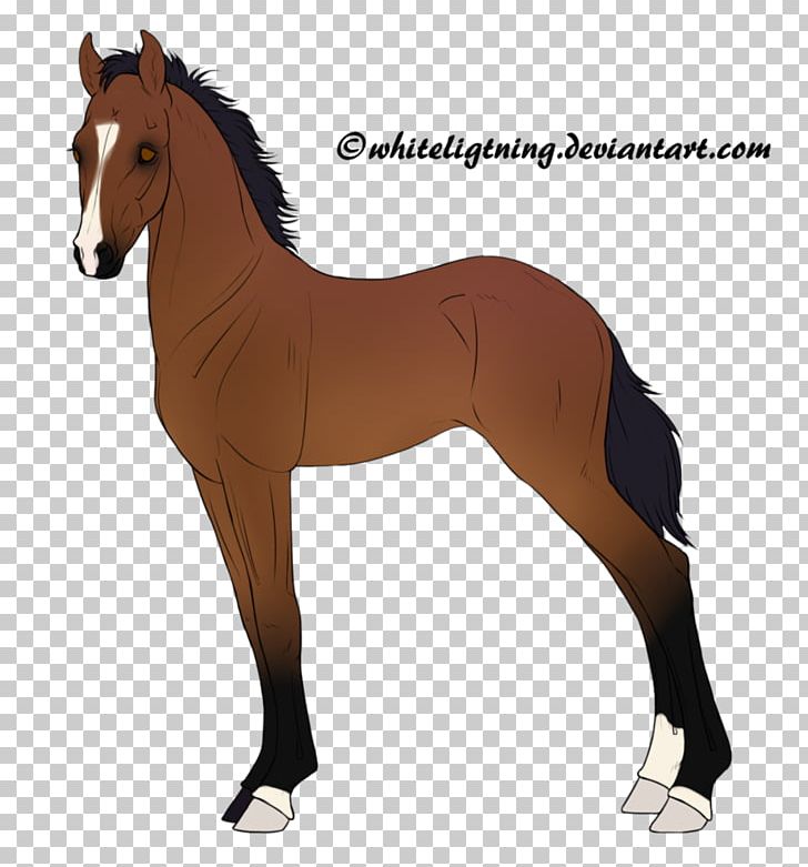Mane Pony Stallion Mare Foal PNG, Clipart, Bridle, Colt, Foal, Halter, Hanoverian Horse Free PNG Download