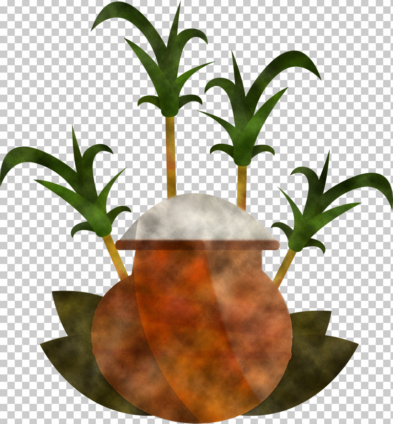 Pongal PNG, Clipart, Biology, Flowerpot, Plants, Pongal, Science Free PNG Download