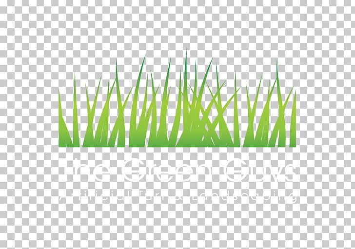 Artificial Turf Lawn Price Commodity PNG, Clipart, Artificial Turf, Commodity, Denver, Grass, Grasses Free PNG Download