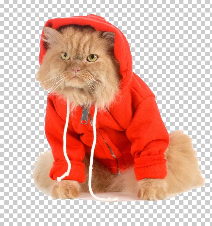 Cat Hoodie Dog Stock Photography Coat PNG, Clipart, Animal, Carnivoran, Cat Like Mammal, Clothing, Coat Free PNG Download