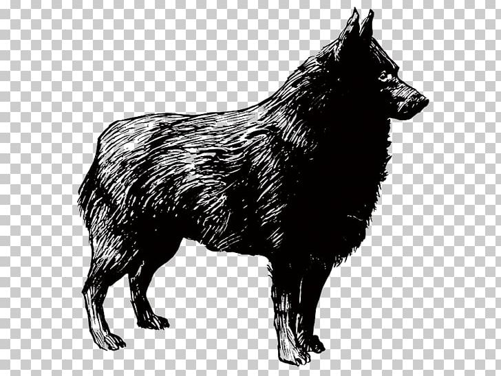 Schipperke Belgian Shepherd Malinois Dog PNG, Clipart, Animals, Black, Black And White, Boared, Boar Food Free PNG Download
