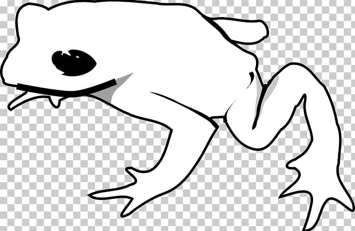 American Green Tree Frog Drawing PNG, Clipart, Amphibian, Animal, Animals, Arm, Art Free PNG Download
