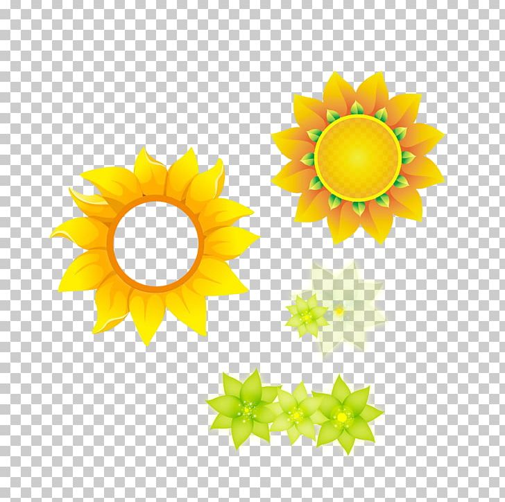 Common Sunflower PNG, Clipart, Cartoon, Dahlia, Daisy Family, Encapsulated Postscript, Flower Free PNG Download