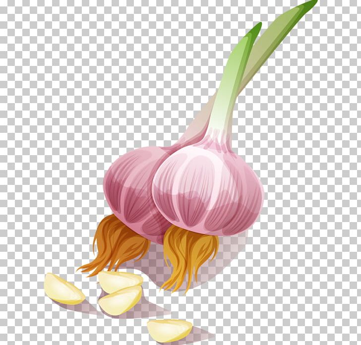 Garlic Onion Seasoning Vegetable PNG, Clipart, Black Pepper, Food, Game, Garlic, Onion Free PNG Download