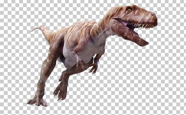 Megalosaurus Spinosaurus Ceratosaurus Iguanodon Tyrannosaurus PNG, Clipart, Carnivore, Carnosauria, Ceratosaurus, Chordata, Dinosaur Free PNG Download