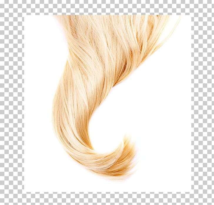 Stock Photography Hair Scalp Blond PNG, Clipart, Blog, Blond, Brown Hair, Canities, Capelli Free PNG Download