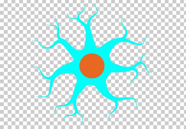 The Neuron Nervous System Cell PNG, Clipart, Area, Artificial Neural Network, Artwork, Astrocyte, Brain Free PNG Download