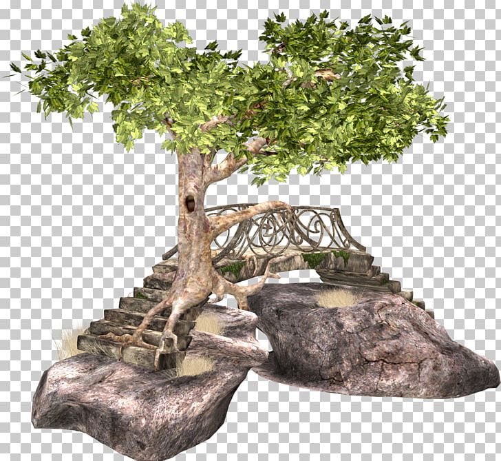 Tree Bridge PNG, Clipart, Animation, Bonsai, Bridge, Bush, Clip Art Free PNG Download