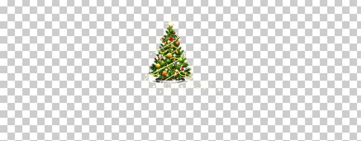 Christmas Tree Fir Spruce Pine Christmas Ornament PNG, Clipart, Christmas, Christmas Decoration, Christmas Frame, Christmas Lights, Christmas Tree Free PNG Download