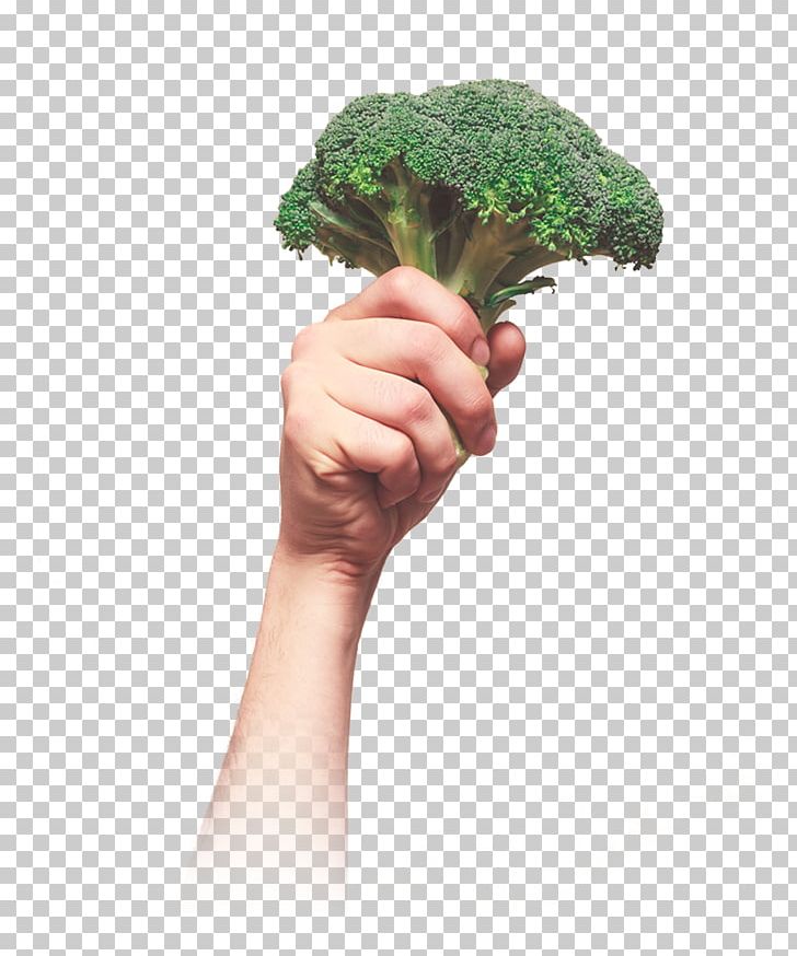 Stock Photography PNG, Clipart, Brocoli, Finger, Fist, Fist Bump, Flowerpot Free PNG Download