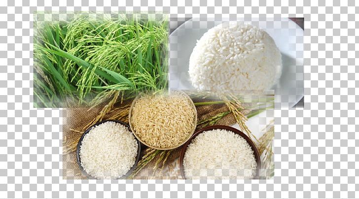 Thailand Parboiled Rice Mineral White Rice PNG, Clipart, Commodity, Company, Food Drinks, Glutinous Rice, Grass Free PNG Download