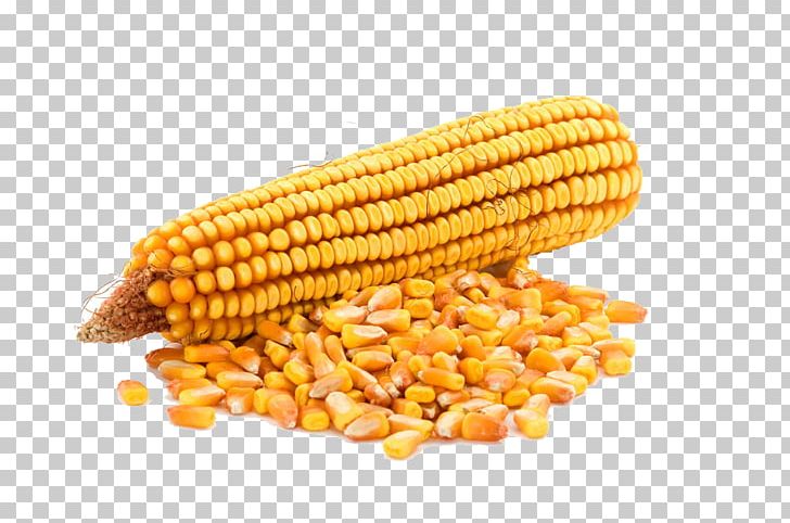 Ukraine Syngenta Maize Seed Cultivar PNG, Clipart, Artikel, Cereal, Commodity, Corn, Corn Kernels Free PNG Download