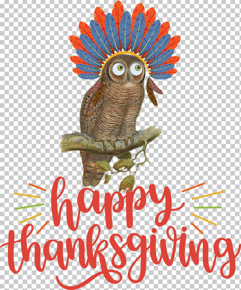 Happy Thanksgiving Thanksgiving Day Thanksgiving PNG, Clipart, Beak, Biology, Bird Of Prey, Birds, Happy Thanksgiving Free PNG Download