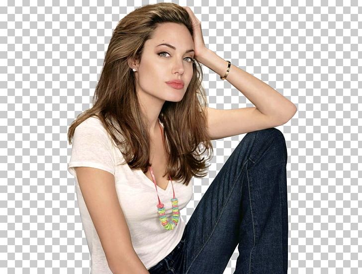 Angelina Jolie Lara Croft: Tomb Raider PNG, Clipart, Actor, Angelina Jolie, Brown Hair, Celebrity, Computer Icons Free PNG Download