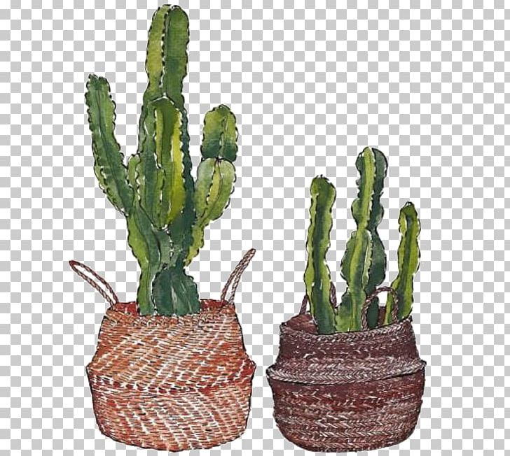 Cactaceae Euclidean Painting PNG, Clipart, Cactaceae, Cactus, Cactus Cartoon, Cactus Flower, Cactus Watercolor Free PNG Download