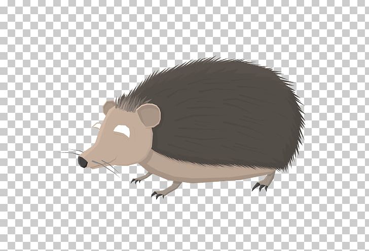 Common Opossum Pig Snout Computer Mouse Fauna PNG, Clipart, Animals, Carnivora, Carnivoran, Cartoon, Common Opossum Free PNG Download