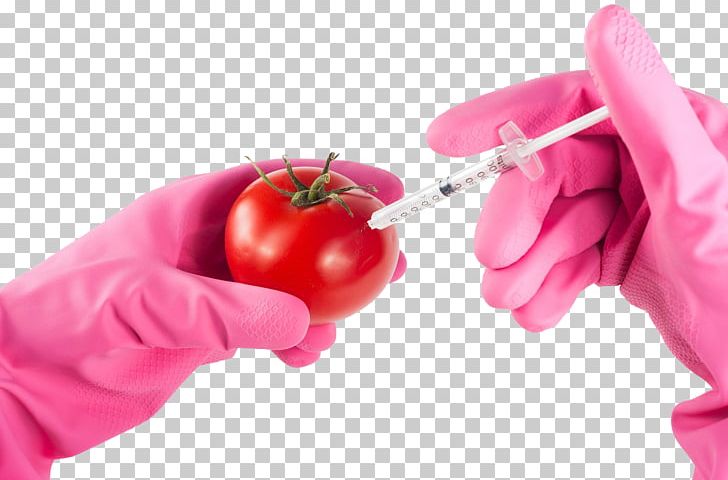 Genetically Modified Food Genetically Modified Tomato Genetically Modified Organism Genetic Engineering Genetics PNG, Clipart, Arctic Apples, Crop, Eating, Finger, Food Free PNG Download