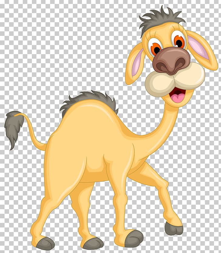 Camel Common Ostrich PNG, Clipart, Animal, Animal Figure, Animals, Arabian Camel, Camel Free PNG Download