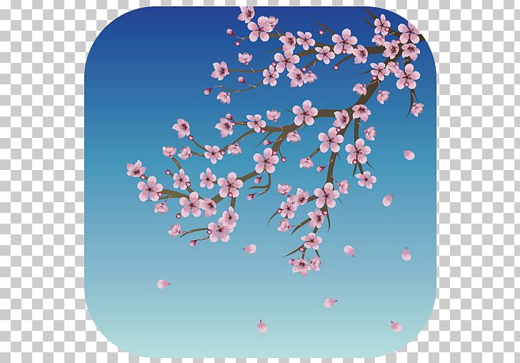 Cherry Blossom Kyoto PNG, Clipart, Apk, Blossom, Blue, Branch, Cherry Free PNG Download