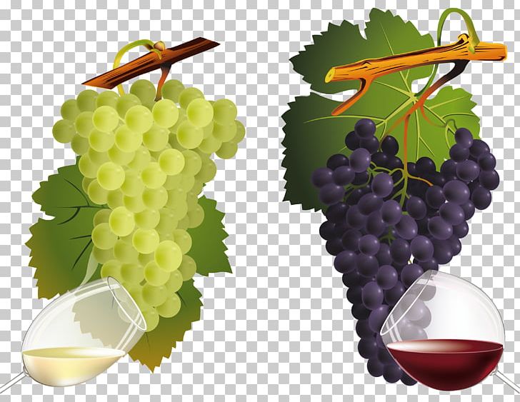 Common Grape Vine Wine Grape Leaves PNG, Clipart, Common Grape Vine, Download, Encapsulated Postscript, Food, Food Drinks Free PNG Download