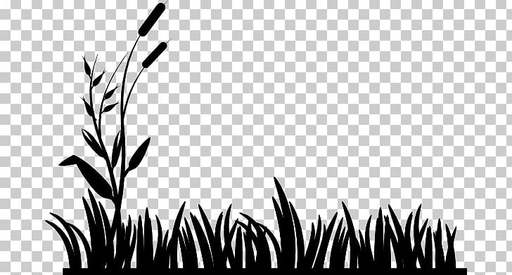 Lawn Mowers PNG, Clipart, Black, Black And White, Branch, Commodity, Download Free PNG Download
