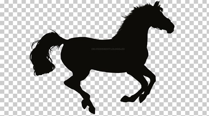 Stallion Mustang Foal Pony Mare PNG, Clipart, Black, Black And White, Bridle, Colt, English Riding Free PNG Download