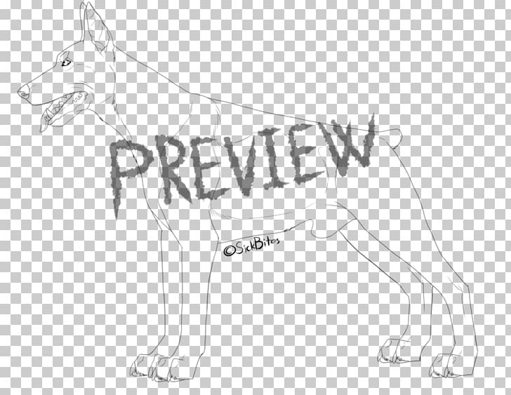 Dog Breed Line Art Snout Sketch PNG, Clipart, Animals, Artwork, Black And White, Breed, Carnivoran Free PNG Download