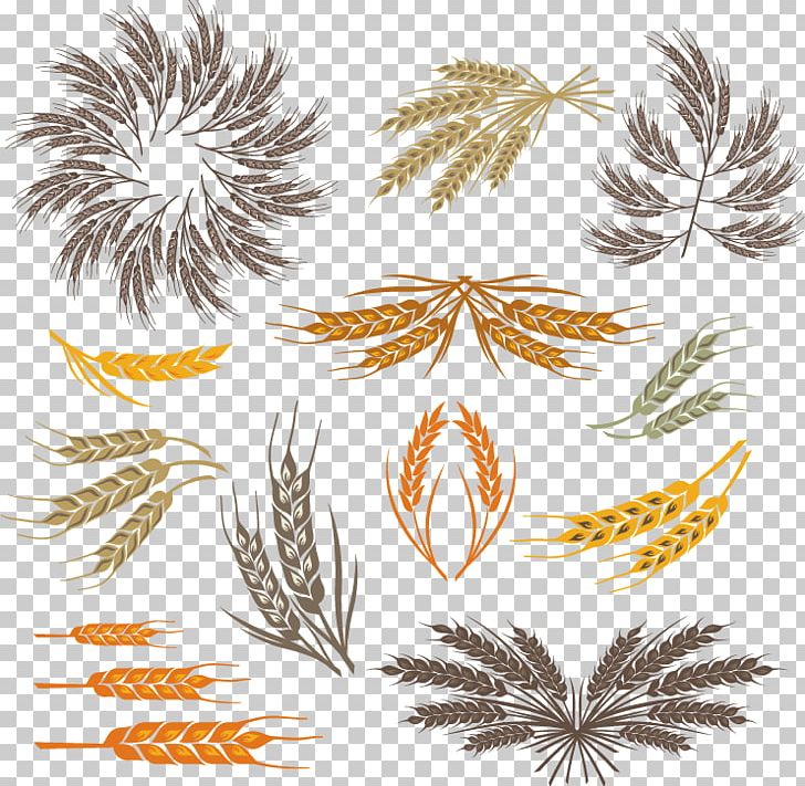 Grasses Leaf PNG, Clipart, Autumn, Autumn Harvest, Branch, Cereal, Cli Free PNG Download