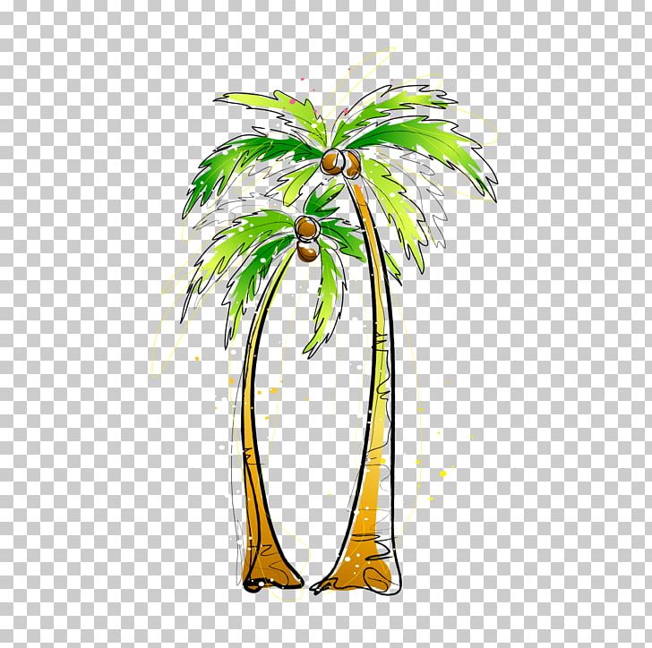 Arecaceae Coconut Painting Illustration PNG, Clipart, Adobe Illustrator, Arecaceae, Arecales, Autumn Tree, Branch Free PNG Download