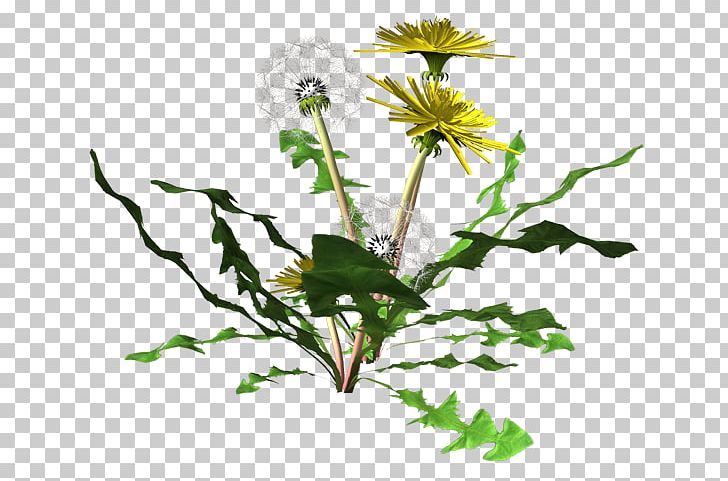 Cut Flowers Floral Design Flower Bouquet Plant Stem PNG, Clipart, Airport, Album, Cut Flowers, Daisy, Daisy Family Free PNG Download